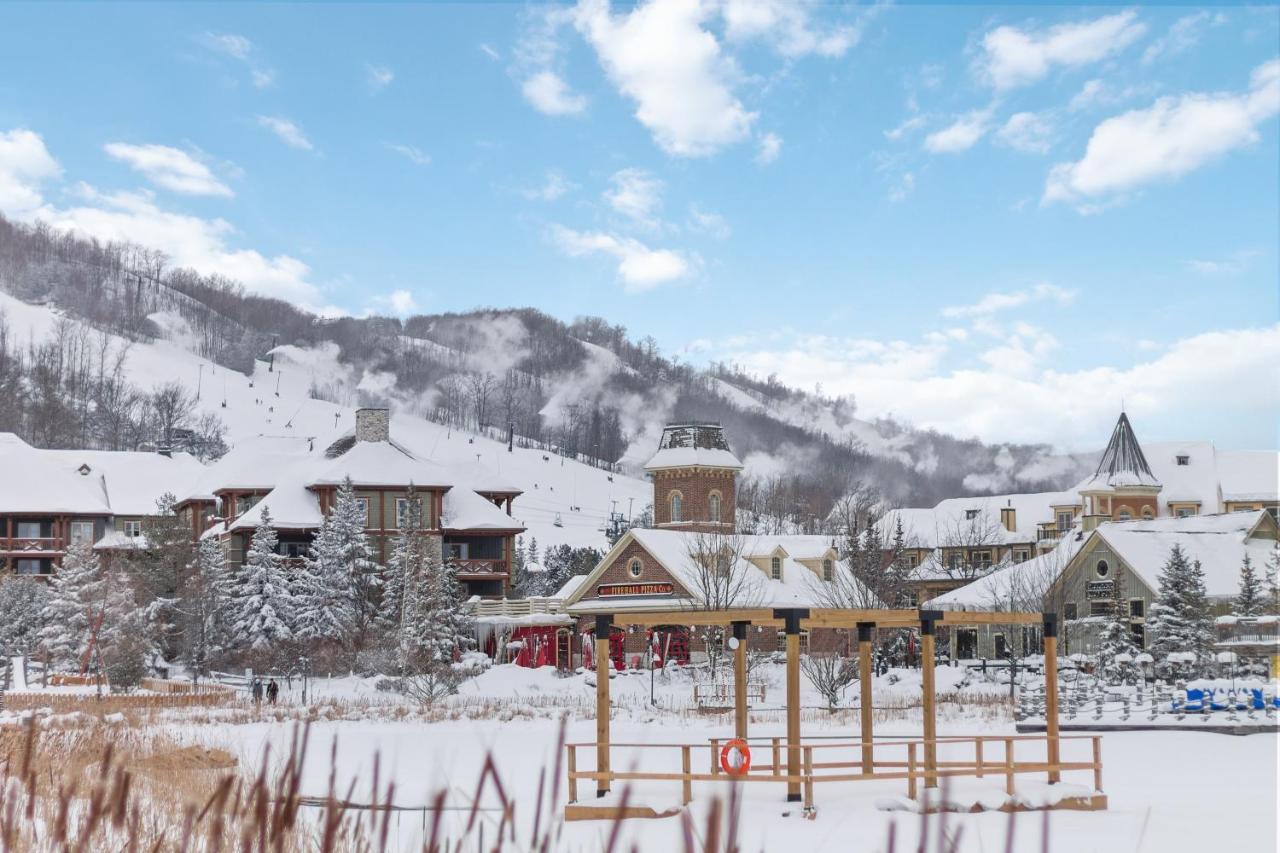 Modern Mountainside Ski In Ski Out 87111 蓝山 外观 照片